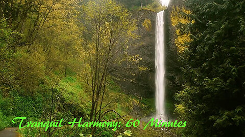 Tranquil Harmony: 60 Minutes of Pure Meditation Bliss