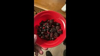 Can YOU Finish The BOWL of FROZEN FRUIT for $1000