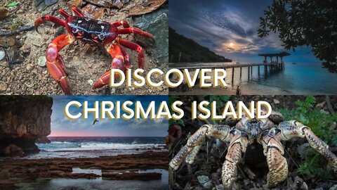 Discover Christmas Island - Australian Nature Tourism at its Best!