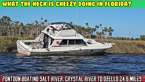 Crystal River pontoon boating. Salt river to Ozello to the gulf and back. Abandoned boats, dolphins