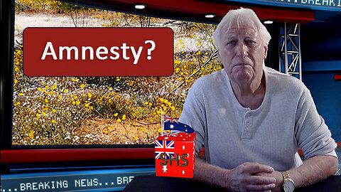 Amnesty?