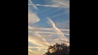 Omnibus/Terror Attack/Geo Engineering