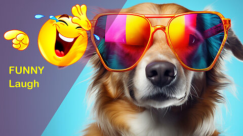 Best Funniest Animal Videos 2024 // Funny Dog Videos 2024
