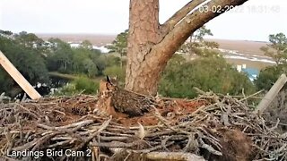 Mom's PM Leave & Return-Cam Two 🦉 3/2/22 18:31