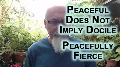 Peaceful Does Not Imply Docile: Make Your Adversary Understand Price To Be Paid, Peacefully Fierce