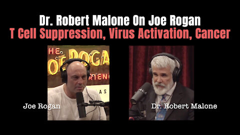 Dr. Robert Malone On Joe Rogan - T Cell Suppression, Virus Activation, Cancer