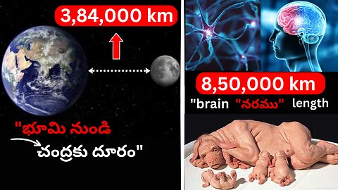 amazing top 10 facts in telugu