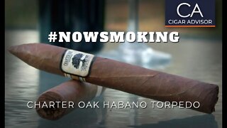 #NS: Foundation Cigars Charter Oak Habano Torpedo
