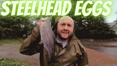 |4K| Bobber Down! Using Steelhead Eggs!