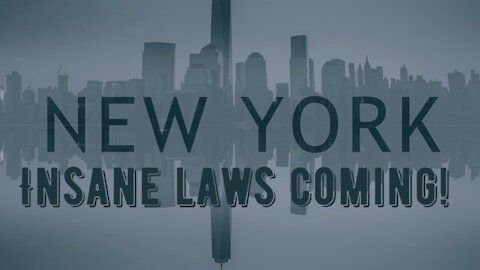 Joe Rogan Discusses Some Of The INSANE New Laws Coming To New York Soon!