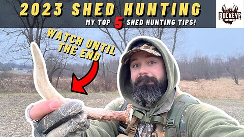 Top 5 Shed Hunting Tips - How to find sheds on small properties.