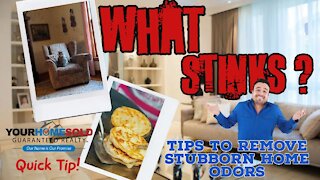 What Stinks! | Tips to Remove Stubborn Home Odors | Oliver Thorpe 352-242-7711