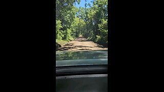 Georgia Dirt Road