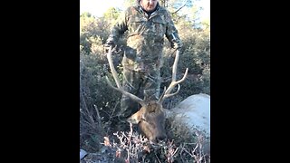 Backcountry Elk Hunt