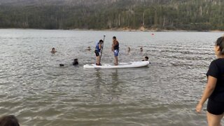 Paddle boarding bass lake California