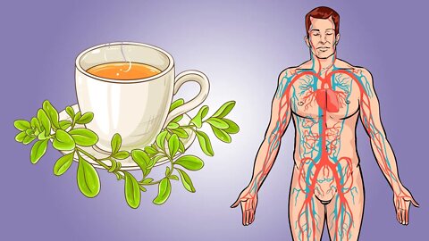 6 Incredible Benefits of Marjoram Tea