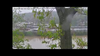 Hays Bald Eagles Nest Area Pan on a Rainy Day 2022 05 07 757am