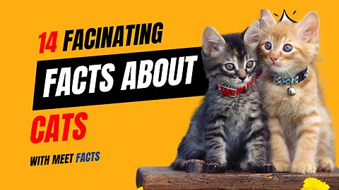 14 astonishing Facts About Cats | Fascinating Facts About Cats