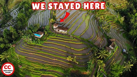 Bali MUST See place - Jatiluwih Rice Terraces - Unesco World Heritage