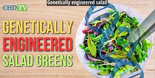 Genetically Engineered Salad Greens Coming To Grocery Stores — They Won’t Be Labeled GMO