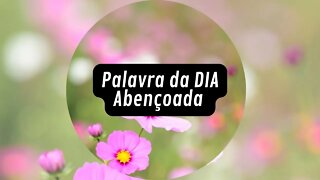 O melhor lugar é aos pés do Salvador — Palavra do Dia Abençoada