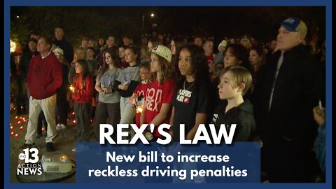 'Rex's law' could dramatically increase reckless driving penalties in Nevada