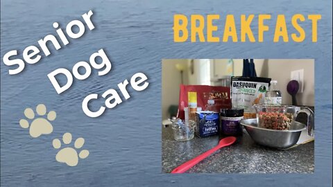 How We Fight Disease in Our Dog | Pet Nutrition | What Our Golden Retriever Eats for Breakfast