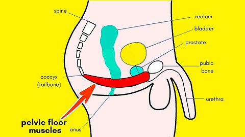 ➜ Do these PELVIC FLOOR Strengthening Exercises 3 Times a Week (At Least!)