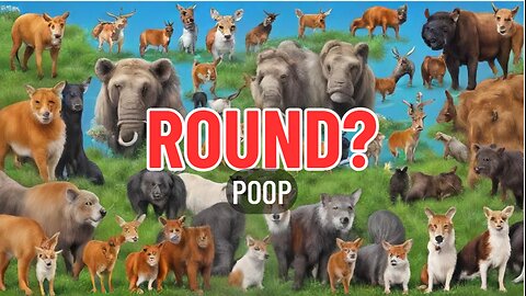Why Some Animals Have Round Poop: The Science Explained!