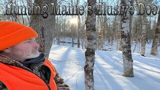 Hunting Maine's Elusive Doe