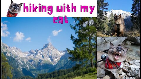Hiking with my cat
