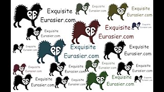 Housebreaking Your Exquisite Eurasier