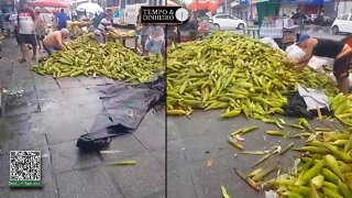 Veja a fartura de milho verde em João Pessoa, no dia de São João. Imagens de Thiago Pacces