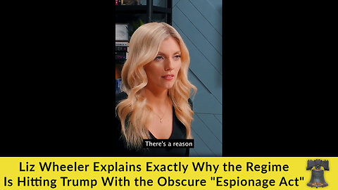 Liz Wheeler Explains Exactly Why the Regime Is Hitting Trump With the Obscure "Espionage Act"