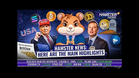 TRUMP TOKEN by 50,000% ⚡ CRYPTO GROWTH || Hamster News