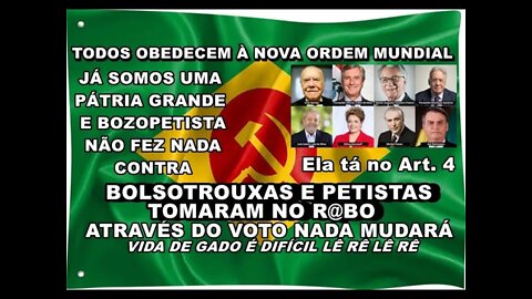 PÁTRIA GRANDE ART. 4 PETISTAS E BOLSONARISTAS TOMARAM NO... BEM FEITO! NADA MUDARÁ BOZOLULACOVARDES