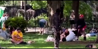 Unhinged Woman Attacks Mother, Baby and Others In NYC