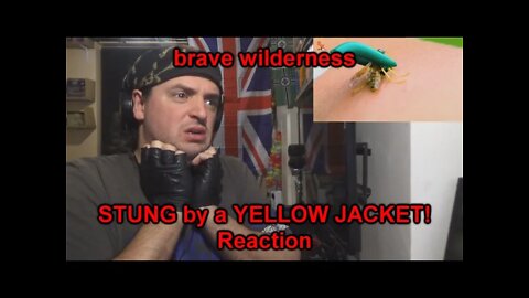 Reaction: STUNG by a YELLOW JACKET!
