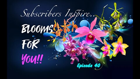 SUBSCRIBERS INSPIRE| You color my life | Blooms for YOU! Episode 40 🌸🌺🌼💐#Orchids #OrchidsinBloom