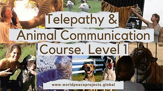 Telepathy and Animal Communication