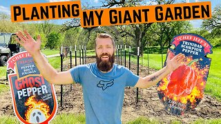 PLANTING My 2000 SQ FT VEGETABLE Garden!!! (Cattle Panel Trellis and Ghost Peppers)