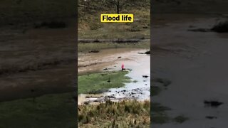 A dog and his human enjoying a break in the flood rains