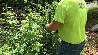 Putting up Barbwire today