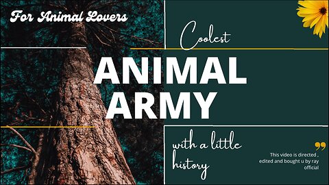 " Coolest Animal Army , For Animal Lovers With A Little History " #animalarmy