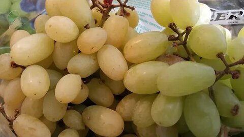 A Grape Conversation Part One