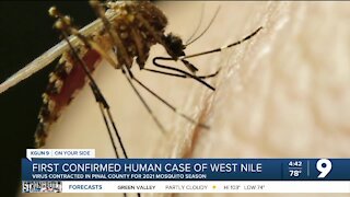 1st case of West Nile virus in Pinal County this season