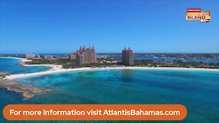 The Travel Mom in the Bahamas | Morning Blend