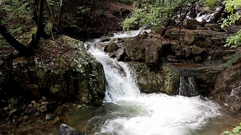 HD Beautiful waterfall sounds, birds chirping, forest sounds, relaxing nature sounds