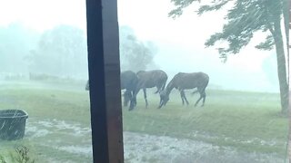 Powerful Storm on 8/10/2020 at 4:55pm