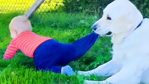 Funny and Naughty Babies Playing with Dogs || Cool Peachy 😁